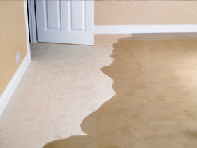 water & flood damage restoration